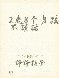 2岁8个月孩子不说话