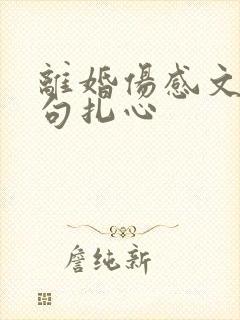 离婚伤感文案短句扎心