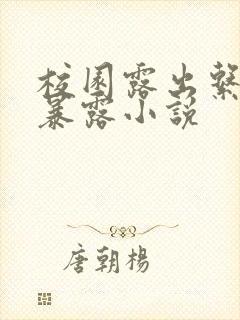 校园露出系列h暴露小说