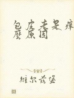 包皮老是痒是什么原因