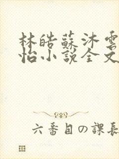 林皓苏沐云李静怡小说全文免费阅读