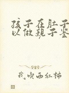 孩子在肚子里可以做亲子鉴定吗?