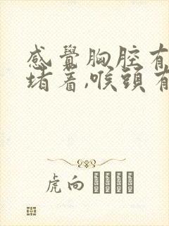 感觉胸腔有东西堵着,喉头有异物感