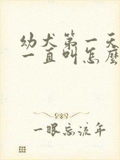 幼犬第一天到家一直叫怎么办