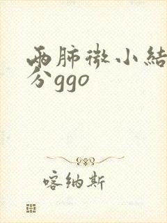 两肺微小结节部分ggo