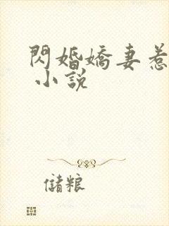 闪婚娇妻惹人疼 小说