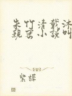 朱竹清戴沐白的亲密小说叫什么