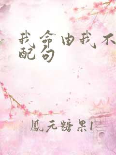 我命由我不由天配句