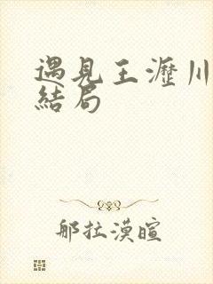 遇见王沥川萧观结局