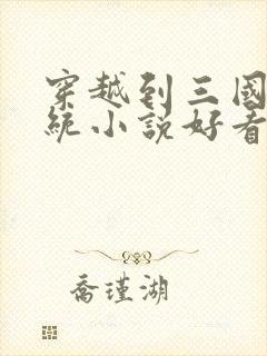 穿越到三国的系统小说好看的有哪些