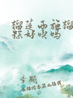 榴莲西施榴莲冰粽好吃吗