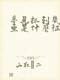 梦见抓到几条大鱼是什么征兆周公解梦