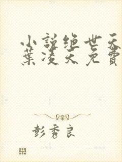 小说绝世天骄·叶凌天免费全文阅读