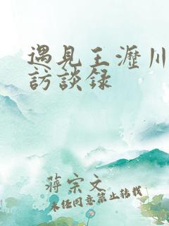 遇见王沥川导演访谈录