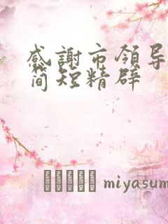 感谢市领导的话简短精辟