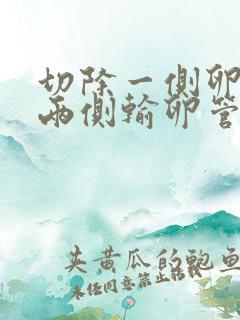 切除一侧卵巢和两侧输卵管对女性有什么影响