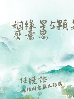 姻缘星5颗是什么意思