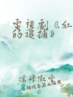 电视剧《红岩下的追捕》