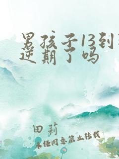 男孩子13到叛逆期了吗