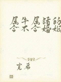 属牛属猪的属相合不合婚姻