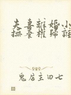 夫妻离婚小孩的抚养权归谁