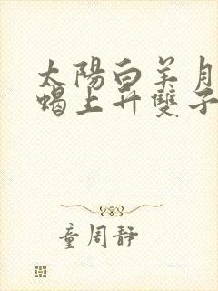 太阳白羊月亮天蝎上升双子