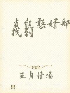 贞观憨婿哪可以找到