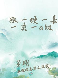 粗一硬一长一进一爽一a级