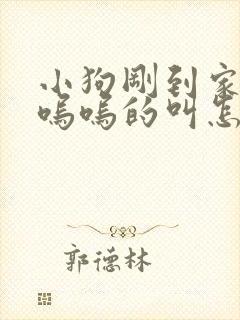 小狗刚到家一直呜呜的叫怎么办