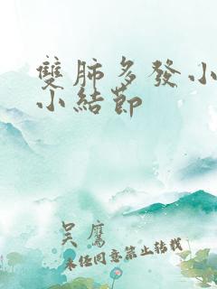 双肺多发小 微小结节