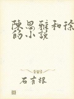 陈思雅和徐铁军的小说