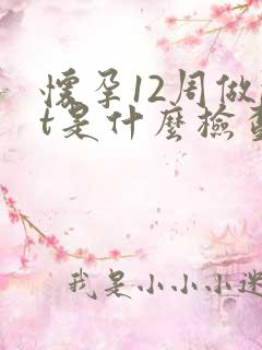 怀孕12周做nt是什么检查?