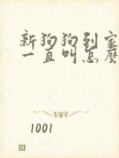 新狗狗到家晚上一直叫怎么办