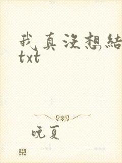 我真没想结婚啊txt