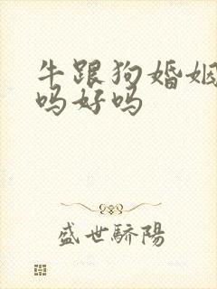 牛跟狗婚姻相配吗好吗