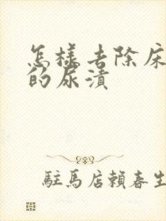 怎样去除床垫上的尿渍