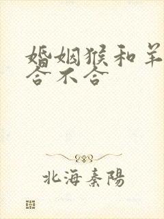 婚姻猴和羊属相合不合