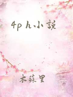 4p h小说