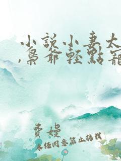 小说小妻太娇嫩,枭爷轻点宠在线阅读