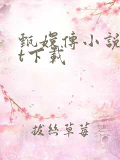 甄嬛传小说txt下载