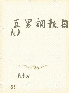 直男调教日记(h)