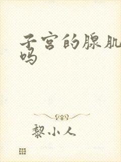 子宫的腺肌症治吗