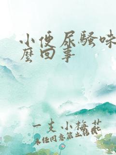 小便尿骚味大怎么回事