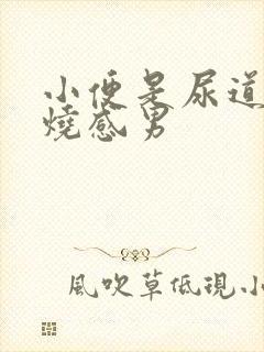 小便是尿道有灼烧感男