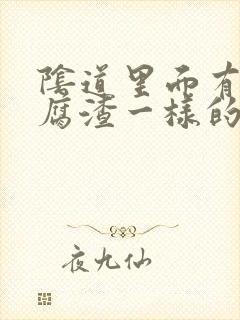 阴道里面有像豆腐渣一样的白东西