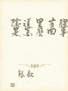 阴道里有腥臭味是怎么回事