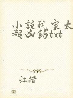 小说我家太子妃超凶的txt