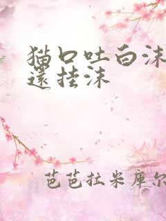 猫口吐白沫嘴上还挂沫