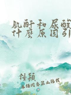 肌酐和尿酸高是什么原因引起