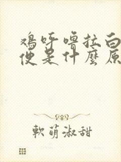 鸡呼噜拉白色粪便是什么原因造成的